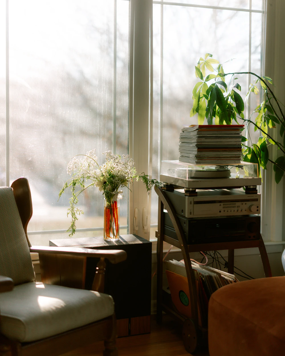 Sala luminosa con un sillón, libros y plantas junto a una ventana grande